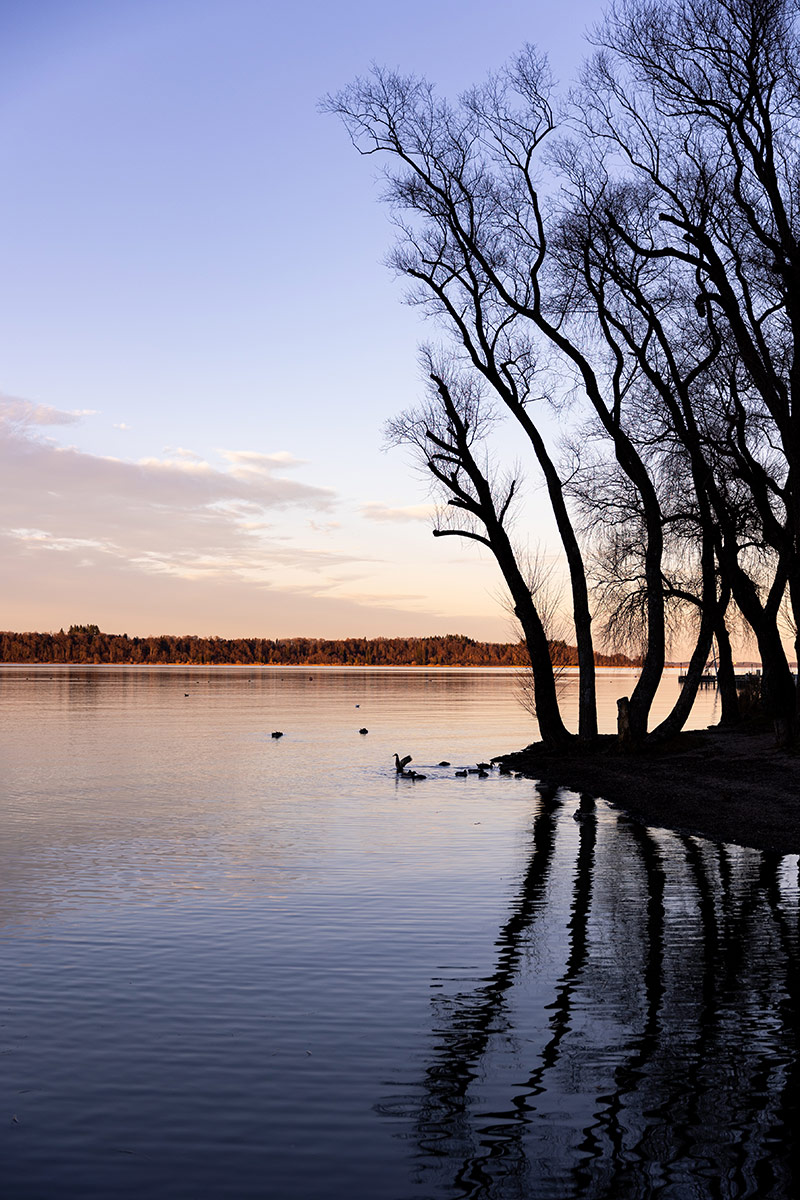 Schneeganserhof - Die Natur am Chiemsee erleben